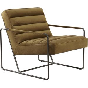 Light & Living Fauteuil Bansud - Velvet - Bruin