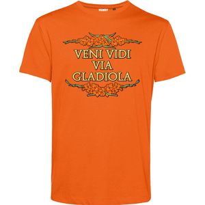 T-shirt Veni Vidi Via Gladiola | Vierdaagse shirt | Wandelvierdaagse Nijmegen | Roze woensdag | Oranje | maat 4XL