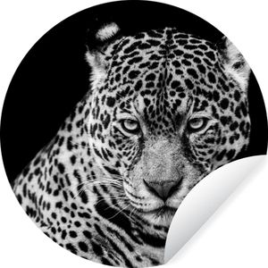 WallCircle - Behangcirkel - Dieren - Luipaard - Zwart - Wit - Zelfklevend behang - 100x100 cm - Behangcirkel dieren - Behangsticker - Slaapkamer