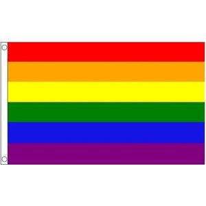 2x Regenboog LGBT vlaggen 60 x 90 cm - Pride vlag - Regenboog vlag 2 stuks