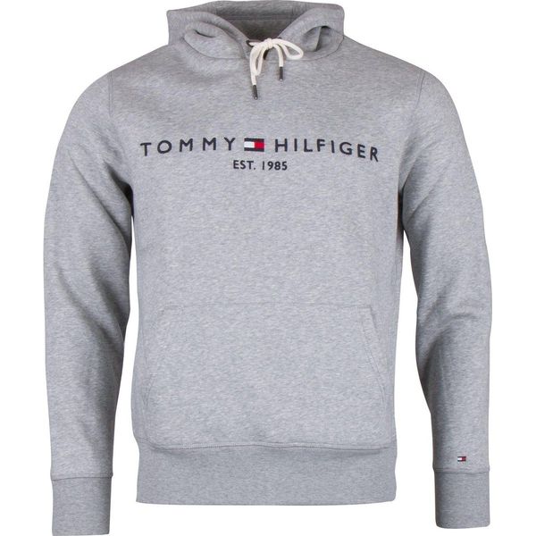 Tommy hilfiger 2025 hoodie mannen
