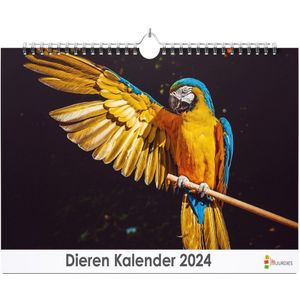 XL 2024 Kalender - Jaarkalender - Dieren