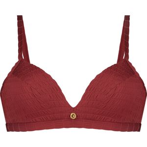 Basics bikini top triangle /c42 voor Dames | Maat C42