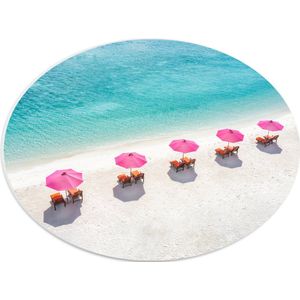 PVC Schuimplaat Ovaal - Ligbedden onder Roze Parasols op het Witte Strand bij Blauwe Oceaan - 40x30 cm Foto op Ovaal (Met Ophangsysteem)