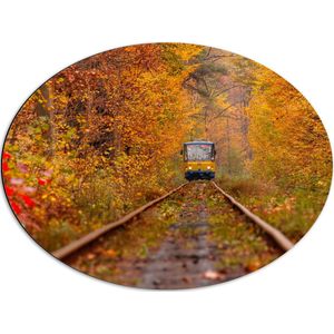 Dibond Ovaal - Tram - Bossen - Bomen - Spoor - Bladeren - Herfst - 68x51 cm Foto op Ovaal (Met Ophangsysteem)