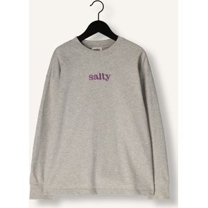 Salty Stitch Salty Skater Tee Smiley Tops & T-shirts Meisjes - Shirt - Lichtgrijs - Maat 104