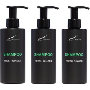 Shampoo Fresh Ginger 300 ml - met pomp - zwarte fles - set van 3 stuks - voordeelverpakking - haarverzorging
