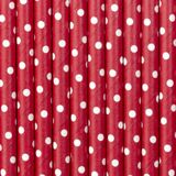 Partydeco Drinkrietjes - papier - 30x - rood/wit polkadots - 19,5 cm - rietjes