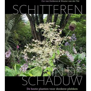 Schitteren in de schaduw