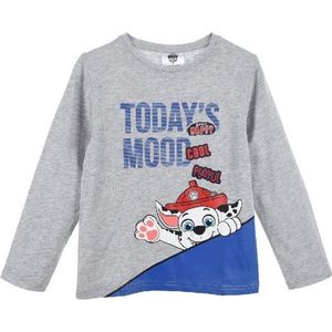 Longsleeve shirt PAW Patrol - Marshall - jongens - maat 104