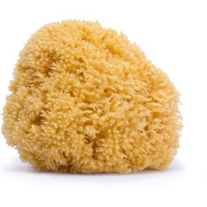Natuurlijke Zeespons voor Baby's - Groot Formaat, 100% Natuurlijk