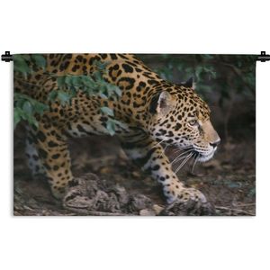 Wandkleed Junglebewoners - Sluipende jaguar in bos Wandkleed katoen 150x100 cm - Wandtapijt met foto