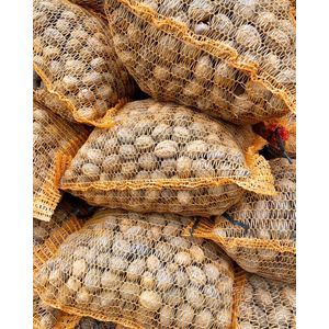walnoten in dop - 5 kilo - nieuwe oogst