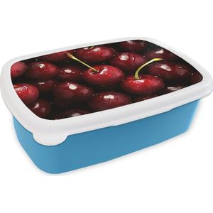Broodtrommel Blauw - Lunchbox Rood - Fruit - Kersen - Brooddoos 18x12x6 cm - Brood lunch box - Broodtrommels voor kinderen en volwassenen