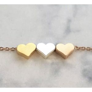 Kettinkje tricolor hartjes