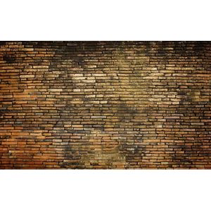 Brick Wall Vintage Texture Photo Wallcovering