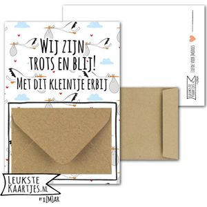 Geldkaart met mini Envelopje -> Baby - No: 1-3 (Wij zijn Trots en Blij! Met dit kleintje erbij - Ooievaar Wit/Neutraal) - LeuksteKaartjes.nl by xMar