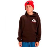 Quiksilver Omni Logo Hoodie Bruin 14 Years Jongens