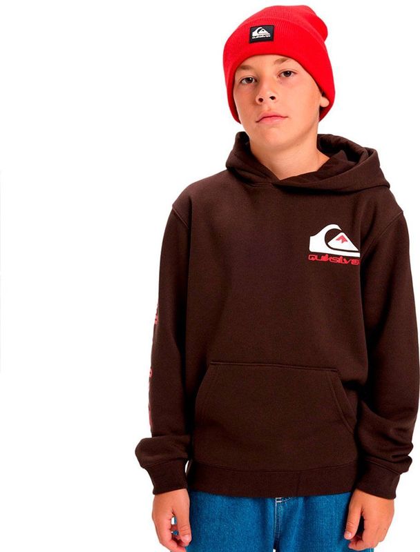 Quiksilver Omni Logo Hoodie Bruin 14 Years Jongens