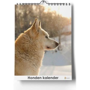 Staande Honden kalender | 24x35 cm | Verjaardagskalender staand Honden | Verjaardagskalender Volwassenen