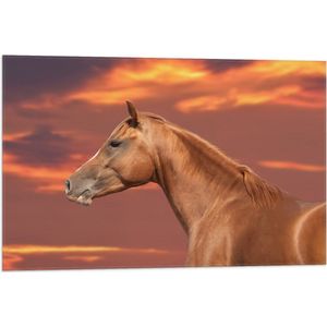 Vlag - Zijaanzicht van Glanzend Bruin Paard onder Oranje Gloed in de Lucht - 75x50 cm Foto op Polyester Vlag