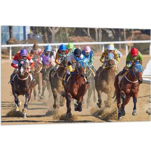 WallClassics - Vlag - Paarden Race - 105x70 cm Foto op Polyester Vlag