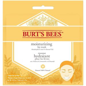Burt's Bees Moisturizing Lip Masker
