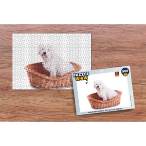 Puzzel Maltezer hond zit in een mand - Legpuzzel - Puzzel 500 stukjes