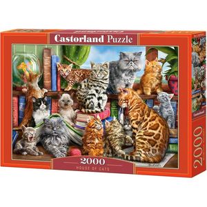 House of Cats Puzzel (2000 stukjes) - Ontsnap aan de realiteit met deze Castorland puzzel