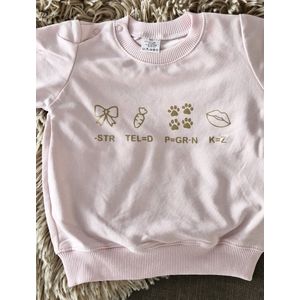 Shirt Aankondiging zwangerschap Rebus Ik word grote zus | korte mouw | beige | maat 98 zwangerschap aankondiging bekendmaking Baby big sis sister Grote Zus
