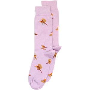 Alfredo Gonzales Roodborstjes Sok AG-SK-RB-01 P XS(35-37)