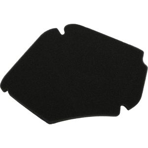 Luchtfilterelement Mezoly voor Piaggio Zip 4 Takt