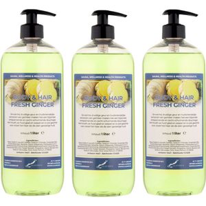 Body & Hair Fresh Ginger 1 liter - set van 3 stuks - met gratis pomp - 2 in 1 voor lichaam en haar.