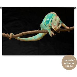 Wandkleed Dieren - Close-up panterkameleon Wandkleed katoen 180x120 cm - Wandtapijt met foto XXL / Groot formaat!