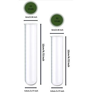 RootHome - 4 stuks Reageerbuizen met rand - 6cm - test tubes with rim - stek tubes- stekglazen- stekbuizen - stekvazen - stekstation - transparante vazen