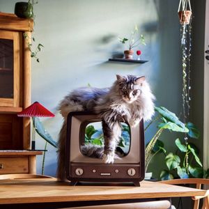 District 70 TELLY - Retro TV Krabmeubel - Instagrammable Kartonnen TV voor Katten