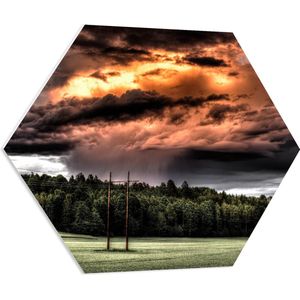 WallClassics - PVC Schuimplaat Hexagon - Zon achter Regenwolken boven Bos - 70x60.9 cm Foto op Hexagon (Met Ophangsysteem)