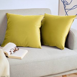 Blumtal Set van 2 Kussenslopen - Velvet - 40 x 60 cm - Olijfolie - Verborgen Ritssluiting - Kussenhoes voor sierkussens