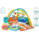 Babygym Speelmat en Ballenbak 2 In 1 - Gekleurde Ballen - Fillikid