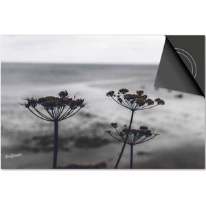 Inductie beschermer 59x52 - afdekplaat inductie mat - Dietrix Kookplaat beschermer - Exclusief - Herfst - Berenklauw grijs