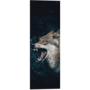 WallClassics - Vlag - Grote Boze Wolf - 20x60 cm Foto op Polyester Vlag