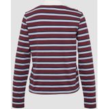 Poloshirt - Lange Mouwen - Normale Pasvorm - Gestreept Patroon