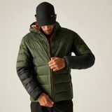 Regatta - Dalent - Isolerende Pufferjas - Heren - Met Capuchon