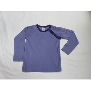 petit bateau , meisje , t-shirt lange mouw , paars , 2 jaar 86