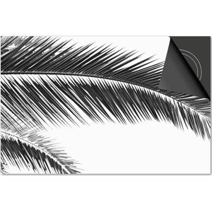 Inductie beschermer 78x52 - afdekplaat inductie mat - Dietrix Kookplaat beschermer - Exclusief - Leaves - 12 Zwart palmbladeren