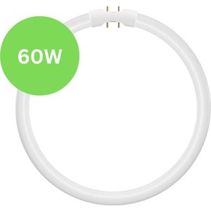 TL5 Cirkel TL-buis 60W – 2GX13 (4-pins) Ø 37cm – 840 Koel Wit – Vervangt Philips/Osram
