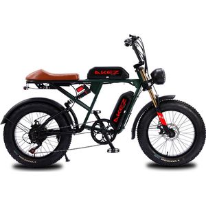 S2 Fatbike E-bike 250Watt 25 km/u 20” Banden – 7 Versnellingen