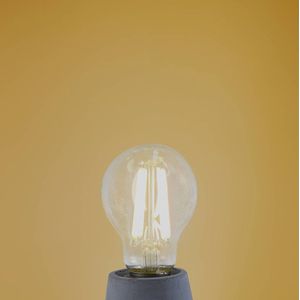 Arcchio - E27 LED-lamp - glas - E27 - transparant