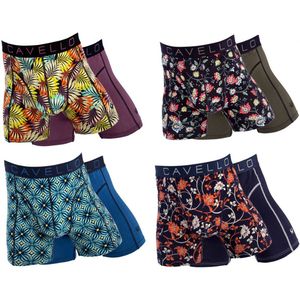 Cavello 8-Pack: Collectie 2025