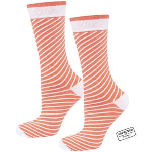 Grappige Sushi sokken in bijpassende sushibox - Maat one size (35-40) - geschenk - cadeau -